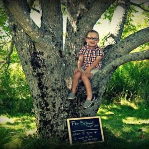 Meet your Posher, Donna